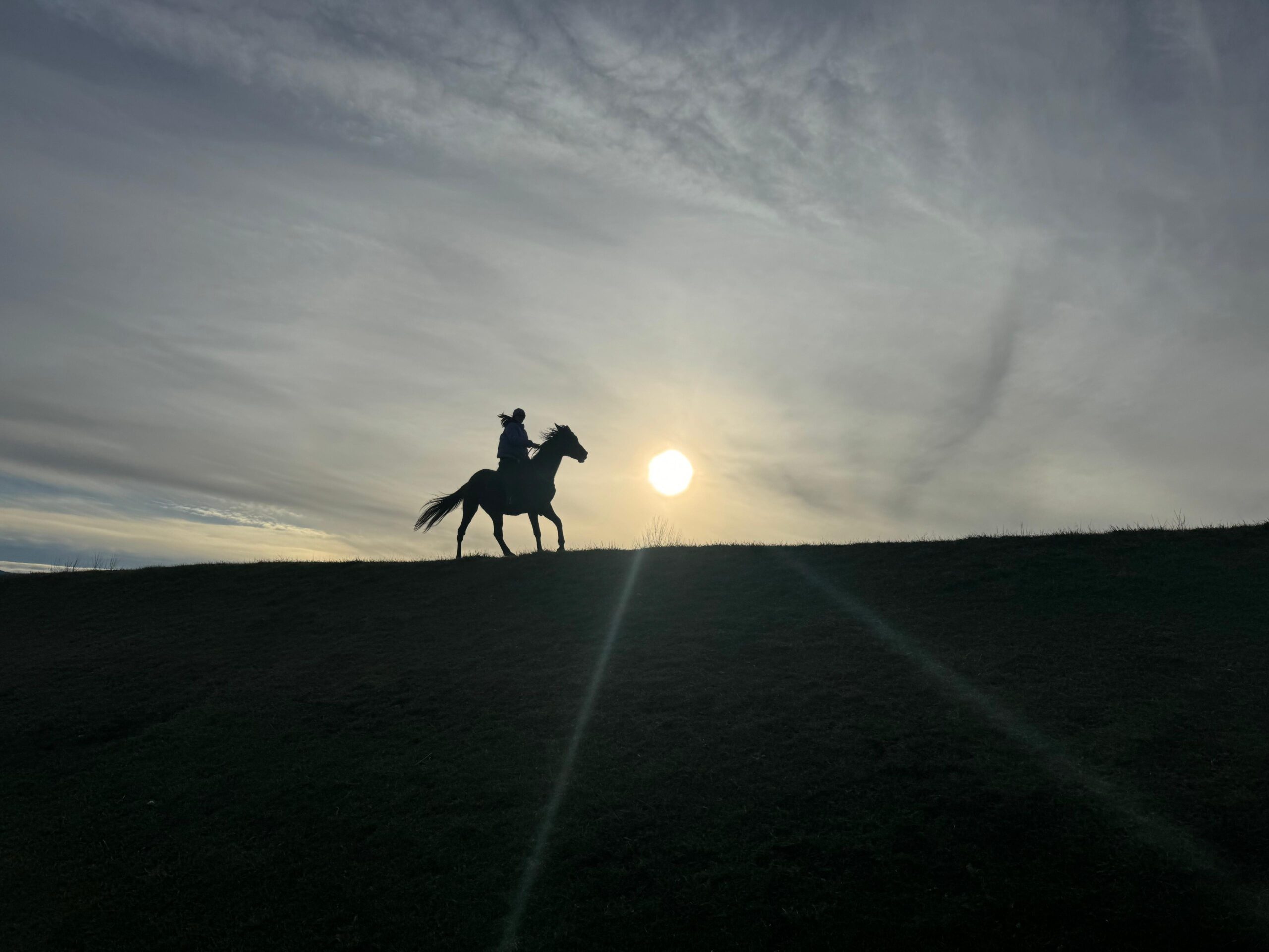 horsebackriding tour